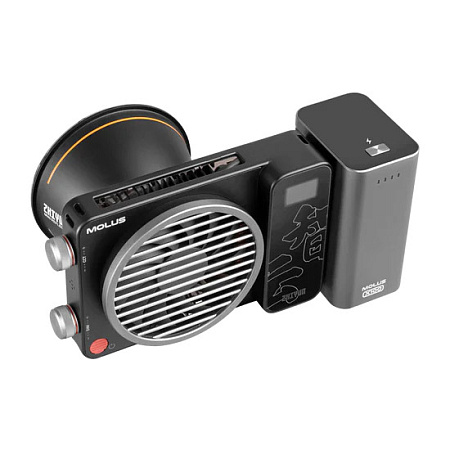 Zhiyun MOLUS X100 Combo