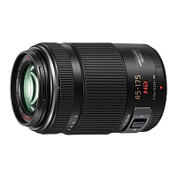 Panasonic 45-175 f/4.0-5.6 MFT PZ