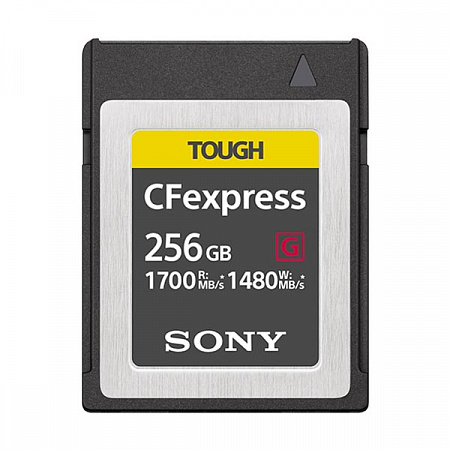 CFexpress Type B 256Gb Sony G