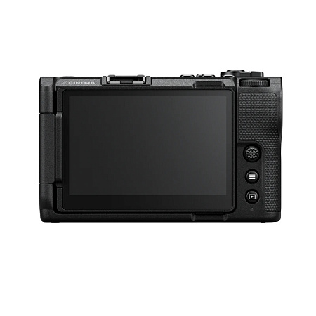 Nikon ZR body