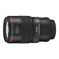 Canon EF 100 f/2.8 Macro L IS USM