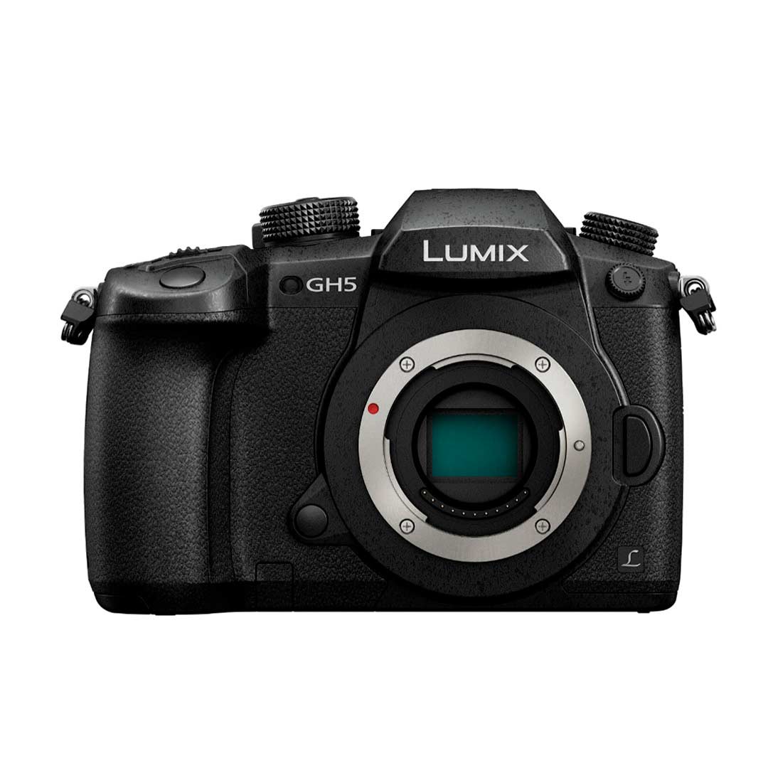 Panasonic GH5 body